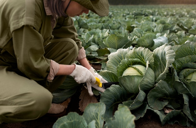 Foto gratuita estilo de vida de la persona ecológica.