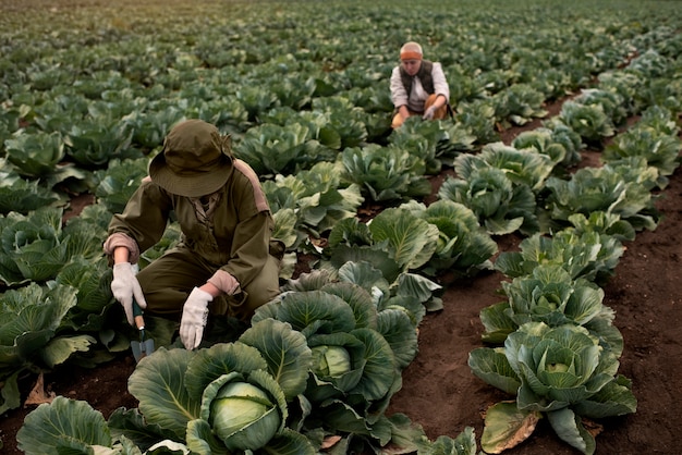 Foto gratuita estilo de vida de la persona ecológica.