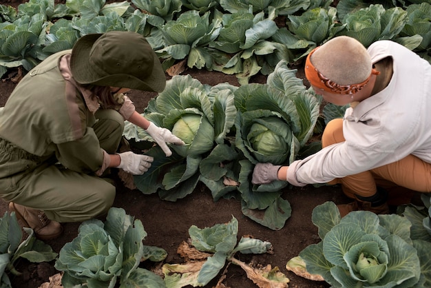 Estilo de vida de las personas ecológicas