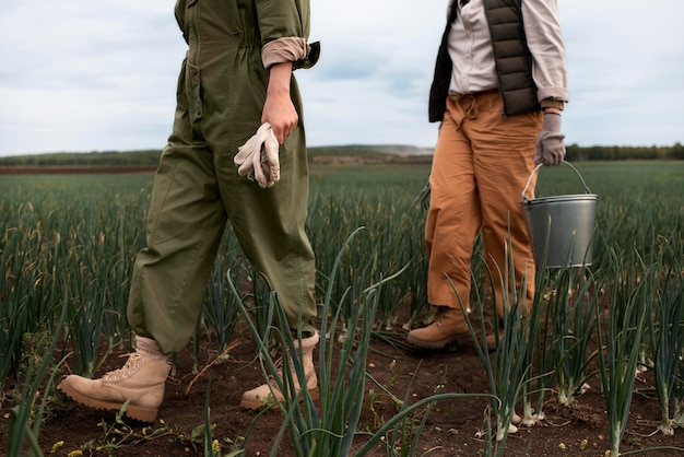 Foto gratuita estilo de vida de las personas ecológicas