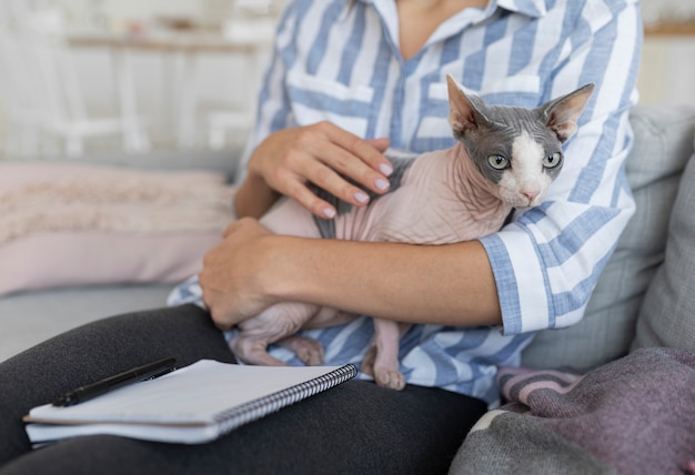 Estilo de vida y retratos de gatos domésticos