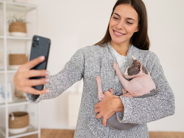 Estilo de vida y retratos de gatos domésticos