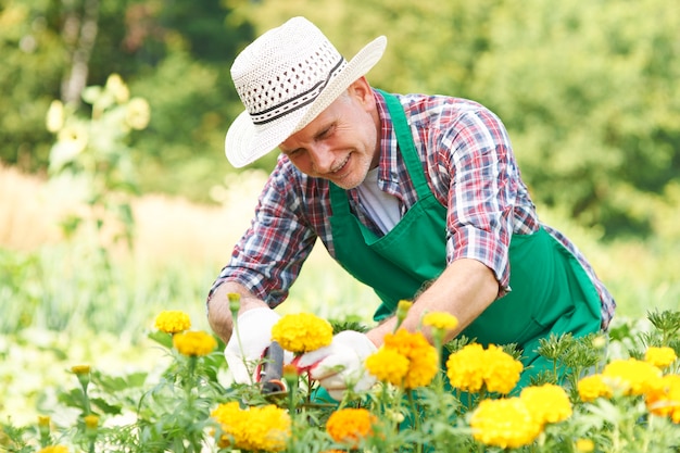 Estoy orgulloso de mi jardín