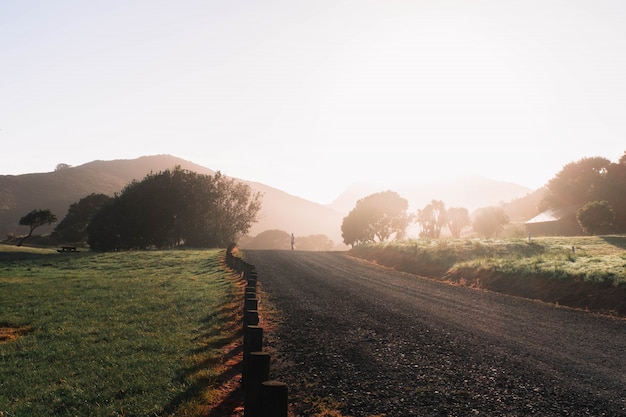 Foto gratuita estrecho camino de ripio en medio de un campo verde con árboles y colinas