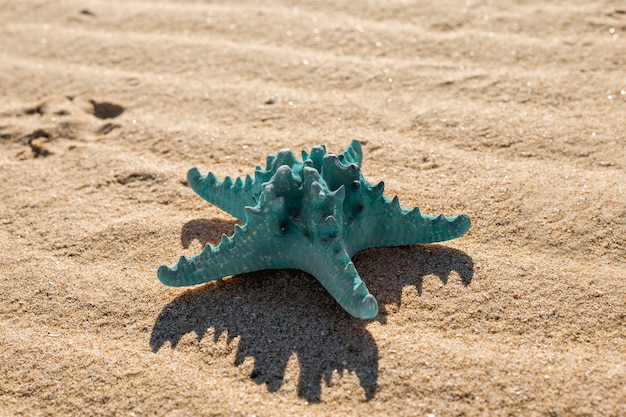 Estrella de mar azul en la playa de arena