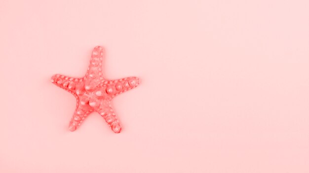 Estrella de mar coral pintada sobre fondo rosa