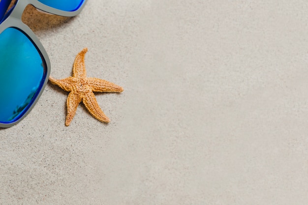 Foto gratuita estrella de mar y gafas de sol en la arena