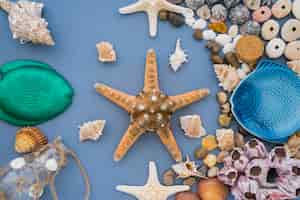 Foto gratuita estrella de mar roedada de elementos veraniegos