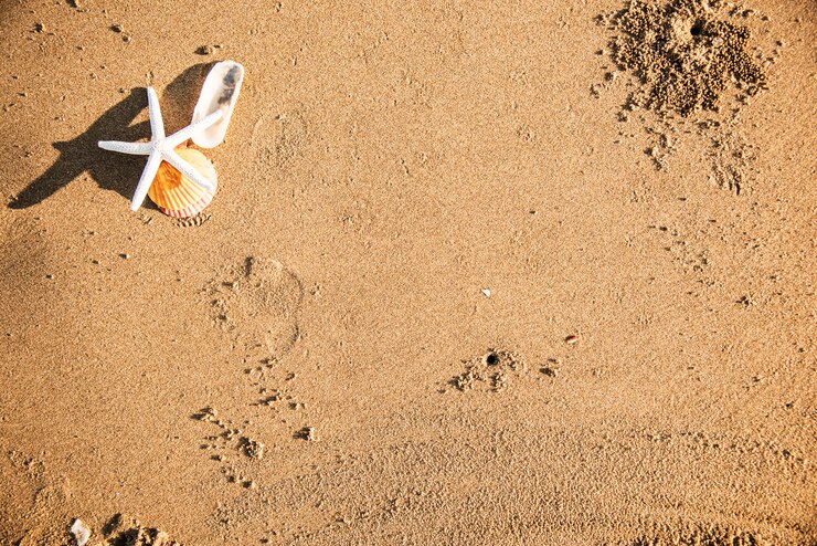 Foto gratuito estrella de mar seca en el fondo de la playa