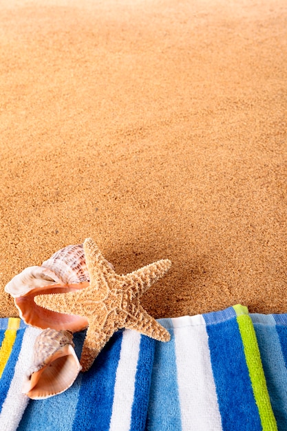 Estrella de mar en toalla azul en la playa