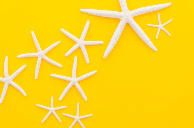 Estrellas de mar blanco en mesa amarilla