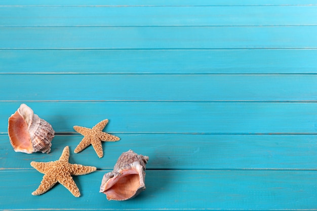 Foto gratuita estrellas de mar y conchas marinas