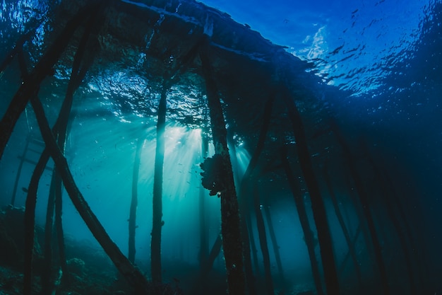 Estructura portuaria bajo el agua