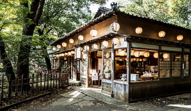 Estructura de templo japonés rodeado de naturaleza