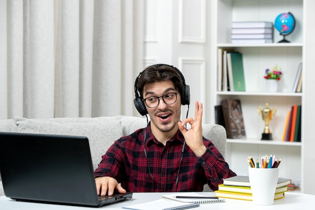 Estudiante en línea chico lindo en camisa a cuadros con gafas estudiando en la computadora mostrando gesto ok