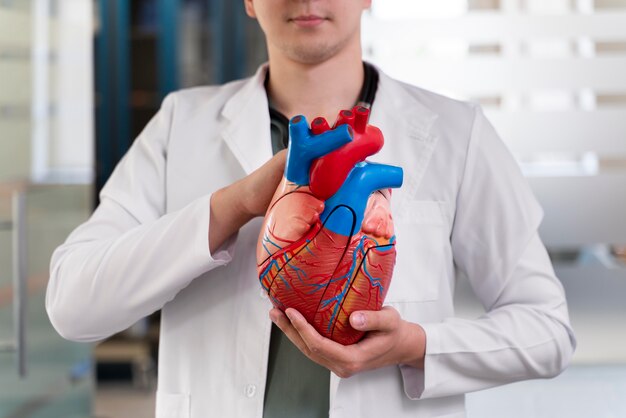 Estudiante masculino practicando medicina