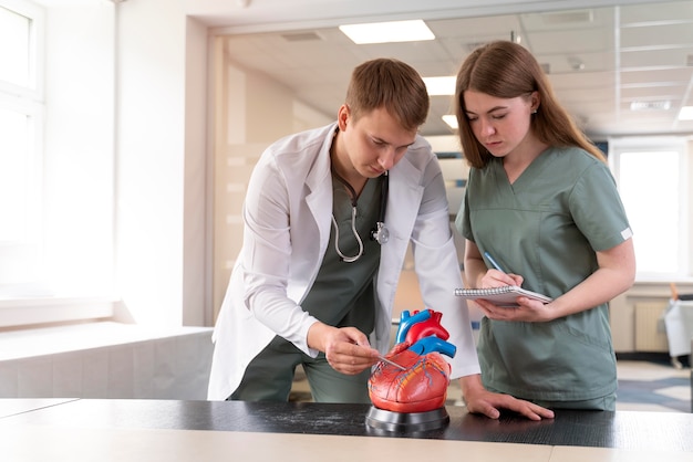 Foto gratuita estudiante de medicina haciendo su práctica en un hospital.