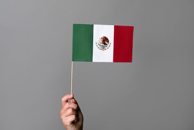 Estudio de mano sujetando la bandera mexicana