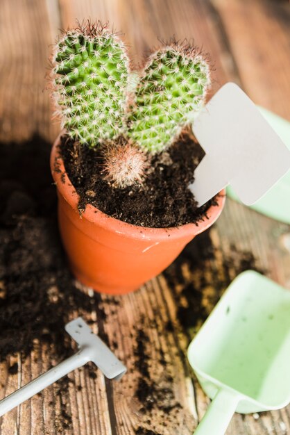Etiqueta en blanco dentro de la planta en maceta de cactus en mesa de madera