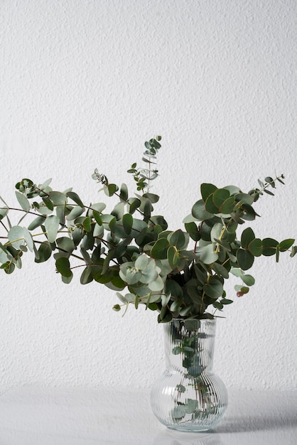 Foto gratuita eucalipto de alto ángulo en florero transparente.
