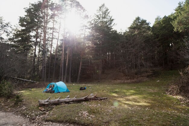 Excursionistas acampando en el bosque