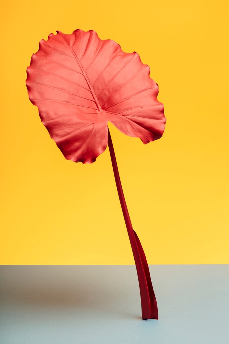 Photo Gratis exotic pink leaf with yellow background