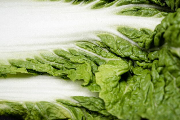 Extreme close-up verde y blanco hoja de ensalada