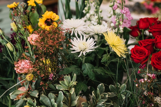 Foto gratuita exuberantes flores en surtido