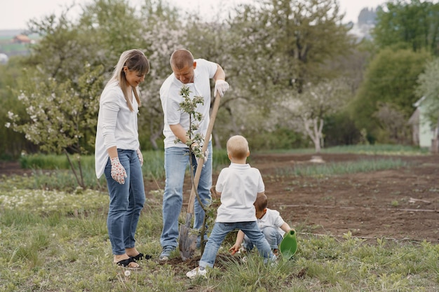 Familia con hijos pequeños están plantando un árbol en un patio