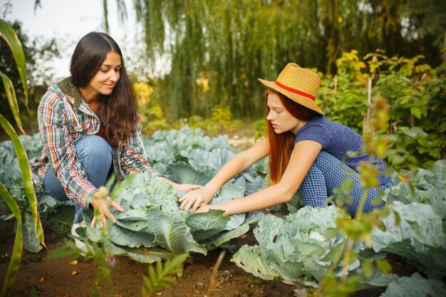 Familia joven feliz durante la recolección de bayas en un jardín al aire libre. Amor, familia, estilo de vida, cosecha, concepto de otoño.