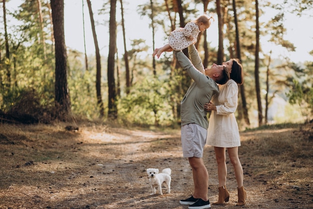 Familia joven con linda hijita caminando en el bosque en la puesta de sol