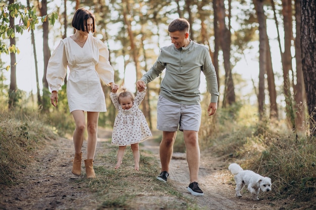 Familia joven con linda hijita caminando en el bosque en la puesta de sol