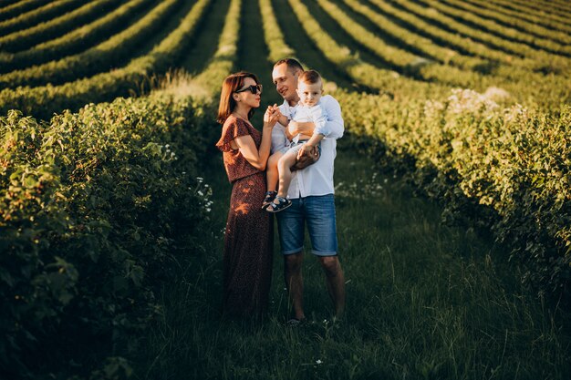 Familia joven con pequeño hijo en un campo