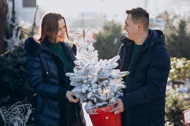 Familia joven que elige el árbol de navidad en un invernadero