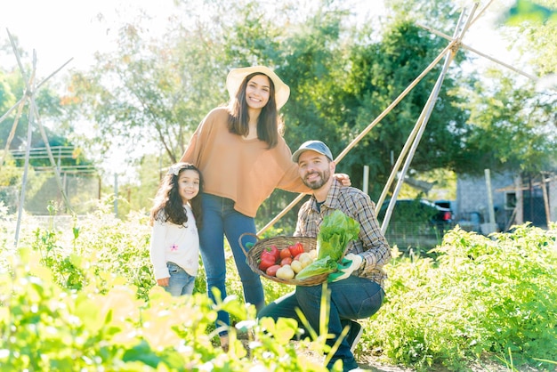 Familia latina feliz cosechando verduras orgánicas en el jardín durante el día soleado