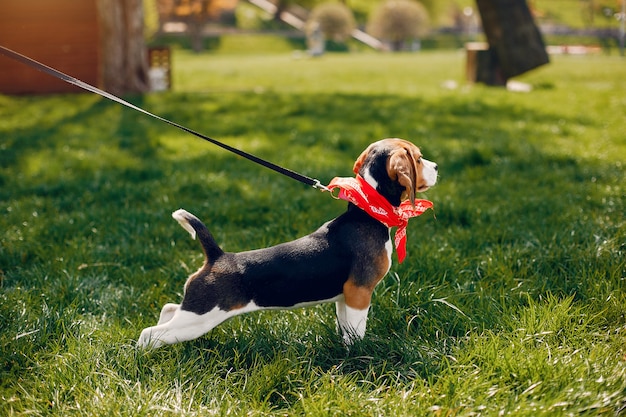 Foto gratuita familia linda y elegante en un parque de primavera