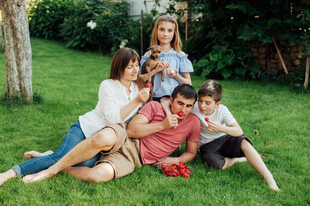 Familia que come la fresa roja fresca en hierba en parque