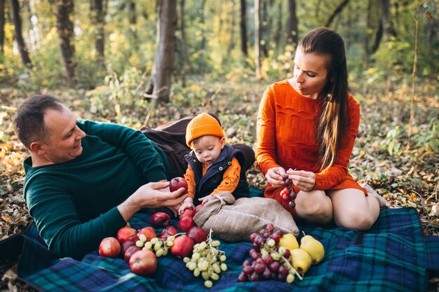 Familia con su pequeño hijo haciendo picnic en el parque