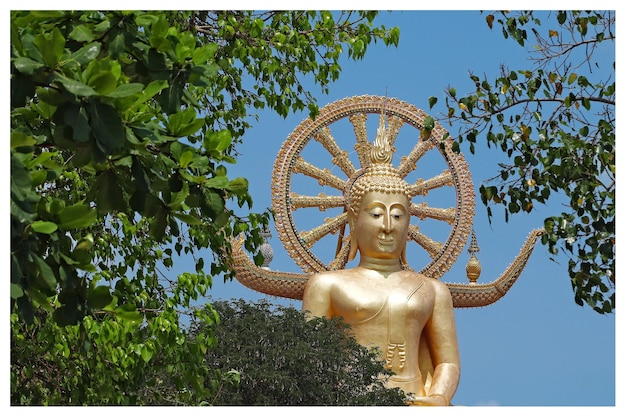 Foto gratuita la famosa estatua histórica de buda tocando el cielo en el templo wat phra yai, tailandia