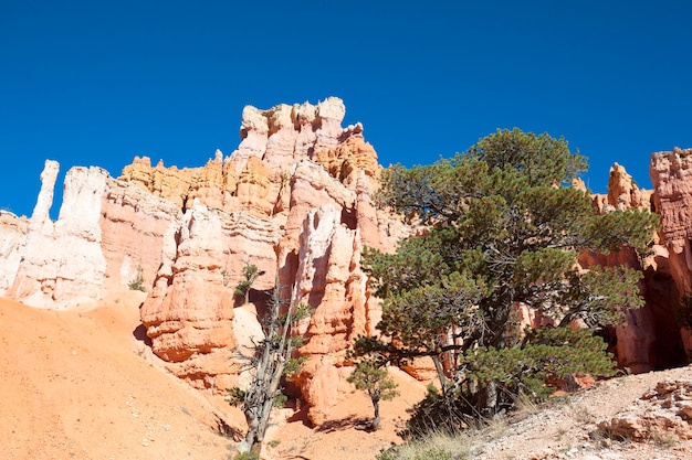 En el famoso sendero Navajo en Bryce Canyon, EE. UU.