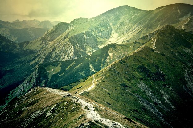 Fantasía y colorido paisaje de la naturaleza