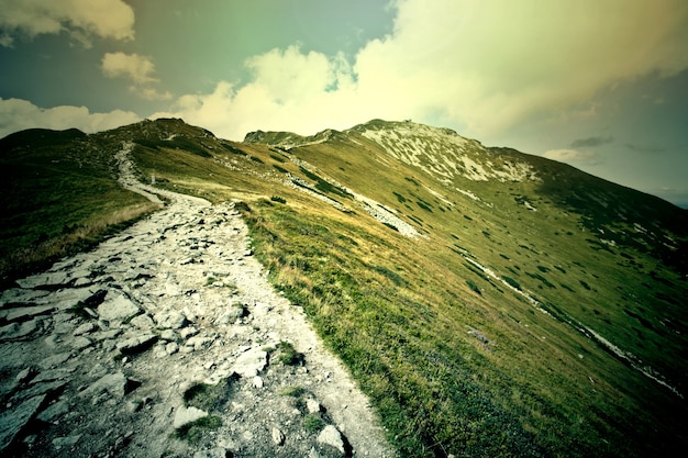 Fantasía y colorido paisaje de la naturaleza