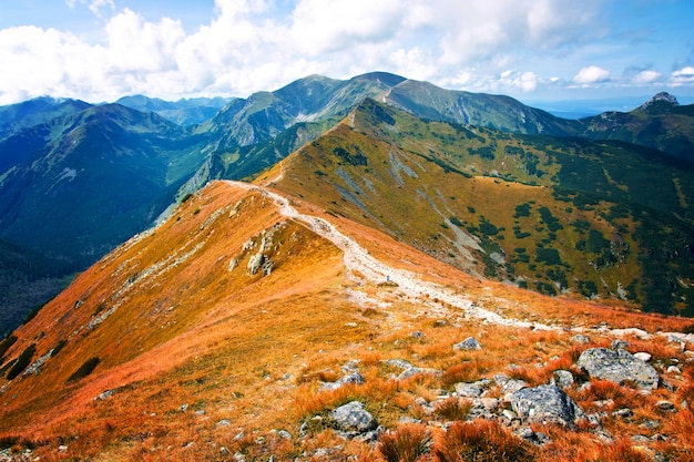 Fantasía y paisaje de la naturaleza colorfull. Carpathia.