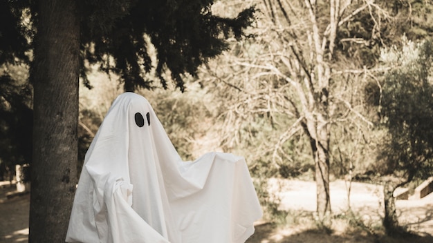 Fantasma extendiendo los brazos en el parque