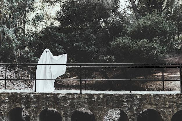 Foto gratuita fantasma melancólico con la mano que se alza que se coloca en el paso superior en bosque