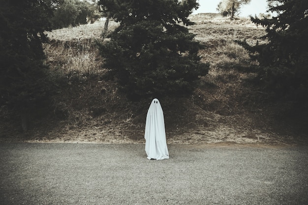 Foto gratuita fantasma que se coloca en el camino oscuro del campo