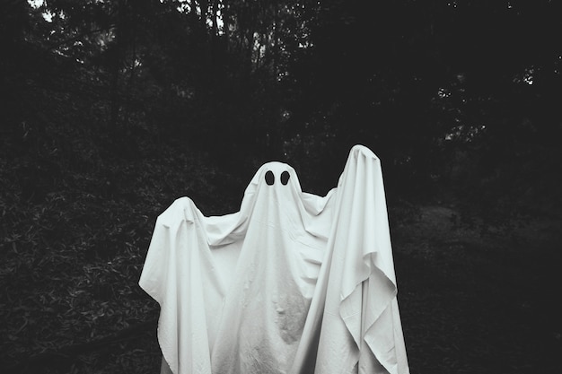 Foto gratuita fantasma sombrío con las manos en alza de pie en el bosque