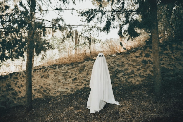 Fantasma sombrío de pie junto a la pared en el parque