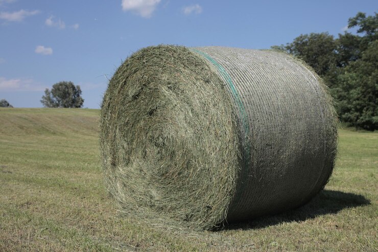 fardo de heno en el campo