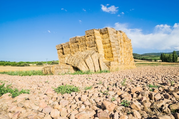 Fardos de paja en La Rioja, España